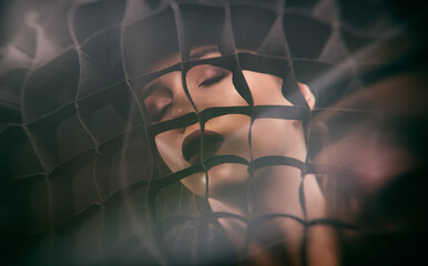Portrait of an attractive brunette with beautiful makeup. She holds a large mesh near her face.