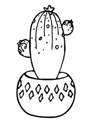 Cute hand drawn simple cactus. Houseplant in a pot. Cacti illustration isolated on white background. Cozy home doodle.
