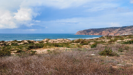 Wild landscape with local vegetation and blue Atlantic ocean in the Guincho Cresmina beach. This...