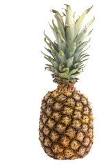 ripe whole pineapple, close-up, on a white background