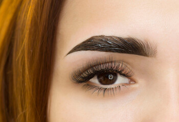 The makeup artist applies paint to the eyebrows.  Permanent makeup. Coloring with henna paint....