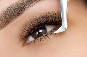Extension of the lower eyelashes. a young woman undergoes a close-up eyelash extension procedure. Tweezers. Down below
