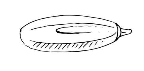 vegetable marrow ripe vegetable. Edible vegetable fruit. Hand drawing outline. Sketch isolated on a white background. Vector