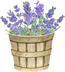 Watercolor lavender bouquets in vintage garden pots. Gardening illustration.