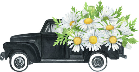 Watercolor black retro truck with daisy flowers.