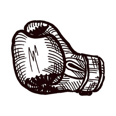 Boxing gloves side sketch isolated. Sporting equipment for boxing in hand drawn style