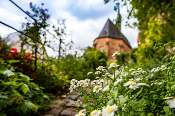 Garten in der Stadt