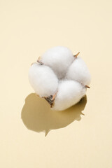 Cotton pattern on a light beige background.