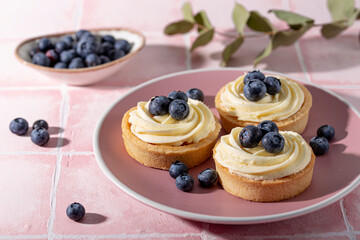 Cake tart with blueberries and whipped cream on a pink background