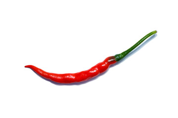 Close up Chili, Chilli Pepper on white background.