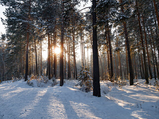 Winter landscape in Central Siberia