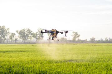 Agriculture drone flying and spraying fertilizer and pesticide over farmland,High technology...