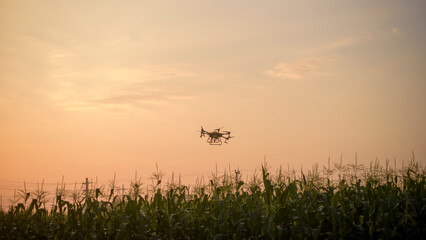 Agriculture drone flying and spraying fertilizer and pesticide over farmland,High technology innovations and smart farming