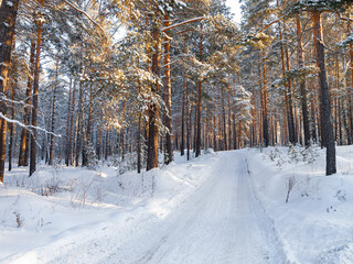 Winter landscape in Central Siberia