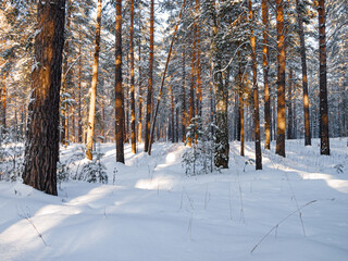 Winter landscape in Central Siberia