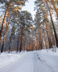 Winter landscape in Central Siberia