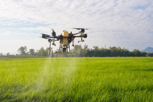 Agriculture drone flying and spraying fertilizer and pesticide over farmland,High technology innovations and smart farming