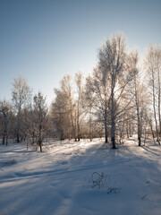 Winter landscape in Central Siberia