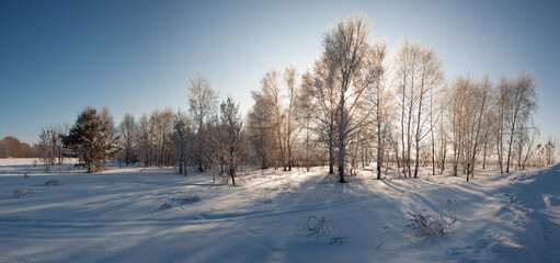 Winter landscape in Central Siberia
