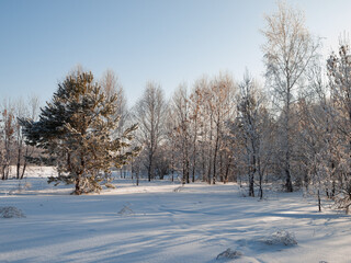 Fototapeta na wymiar Winter landscape in Central Siberia