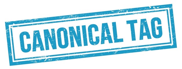 CANONICAL TAG text on blue grungy vintage stamp.