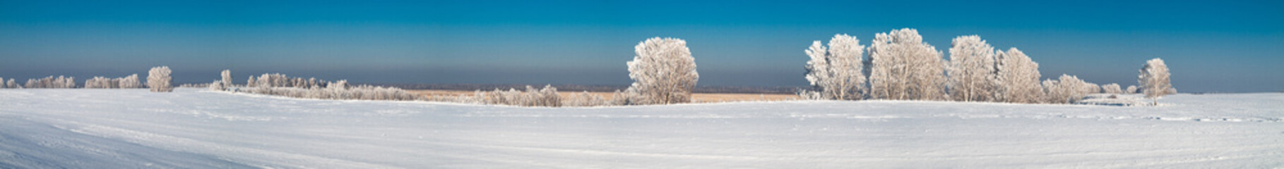 Winter landscape in Central Siberia