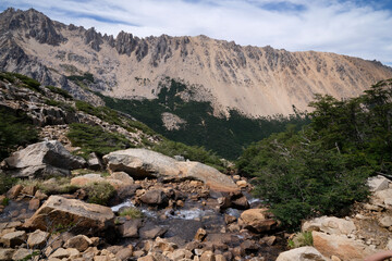View of the stream flowing downhill into the forest. The rocky mountains in the background. 