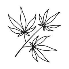Vector illustration of marijuana and leaf symbol. Graphic of marijuana and vegetation vector icon for stock.