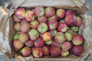 A case of fresh red apples.