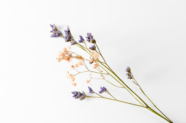 Flores Secas © Cuarto Studio