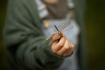 close up of a little boy holding a dragonfly