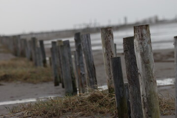 Gefühlsvolle Aussicht auf Holzpfähle im Wattenmeer  bei Sankt Peter Ording 