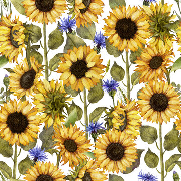 Watercolor hand drawn illustration. Seamless pattern with sunflowers, leaves and wildflowers
