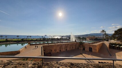 Fototapeta premium palma di majorca