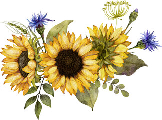 Watercolor hand drawn illustration. Bouquets with sunflowers, leaves and wildflowers. Floral composition