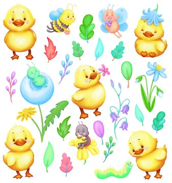 A collection of little happy ducks enjoying their summer day surrounded by plants and cutely insects