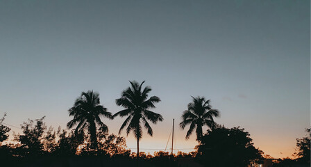 Fototapeta na wymiar Miami Sunset