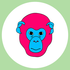 Vector illustration with colorful monkey.