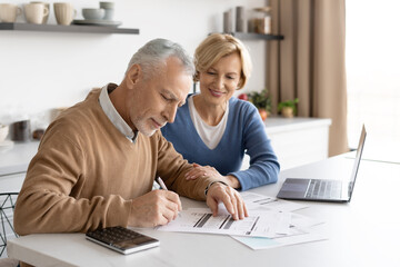 Inspirated retired couple dealing with utility bills payment