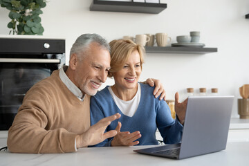 Fototapeta na wymiar Positive spouses using laptop for video call