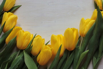 Yellow tulips on a light wooden background.	