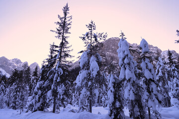 Fototapeta na wymiar Saisera valley in the winter morning, Italy