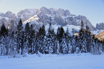 Saisera valley in the winter morning, Italy