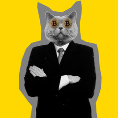 Abstract modern collage. The man with the head of funny cat businessman standing with arms folded...