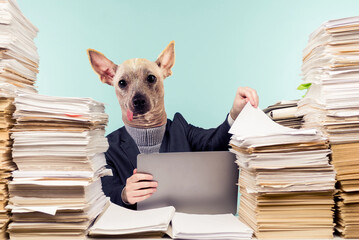 Abstract modern collage. The man with the head of Dog male accountant or company manager works in...