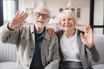 Loving grandparents senior elderly couple family spouses talking on videocall conversation conference online, looking at camera at home. Social distance concept