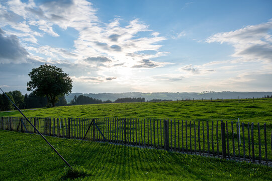 A beautiful shot of a  green field with tree and fance in the afternoon 