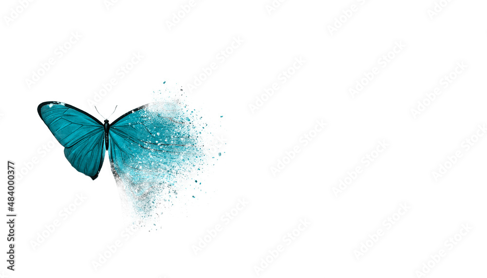 Wall mural digital transformation banner. dispersed butterfly isolated on white background.