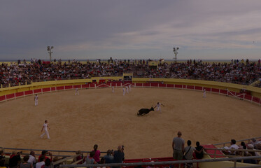 bullfight arena with bull, bull fighters, audience and sea at the background