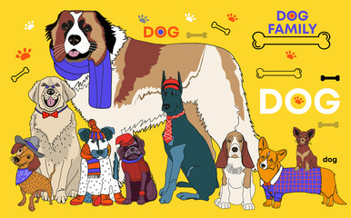 cute kind fluffy dogs big and small are our friends